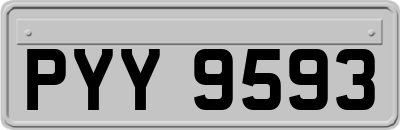 PYY9593