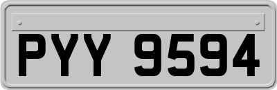 PYY9594