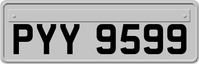 PYY9599