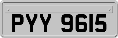 PYY9615