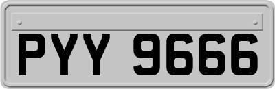 PYY9666