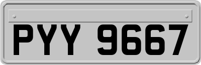 PYY9667