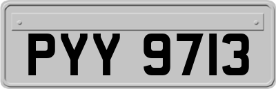 PYY9713