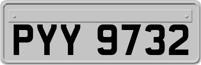 PYY9732