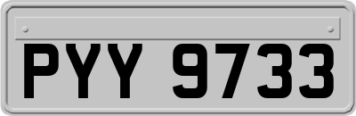 PYY9733