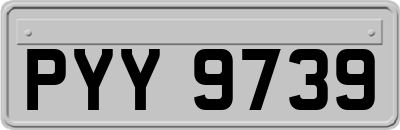 PYY9739
