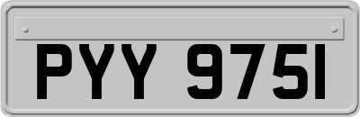 PYY9751