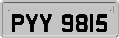 PYY9815