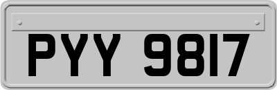 PYY9817