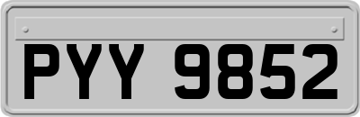 PYY9852