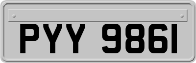 PYY9861