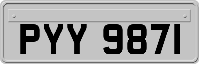 PYY9871