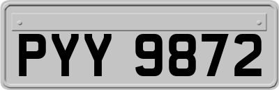 PYY9872