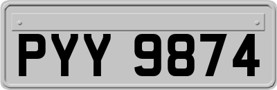 PYY9874