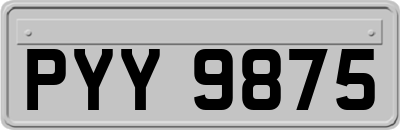 PYY9875