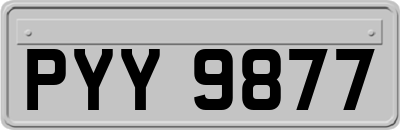 PYY9877