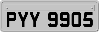 PYY9905