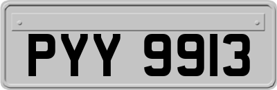 PYY9913