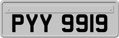 PYY9919