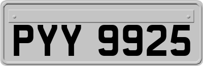 PYY9925