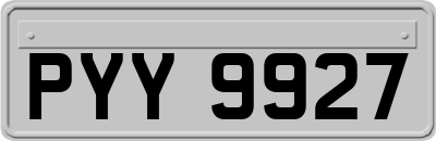 PYY9927