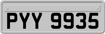 PYY9935