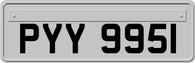 PYY9951