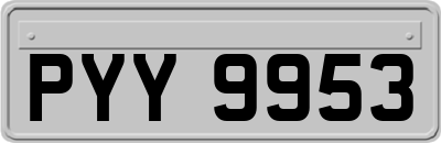 PYY9953