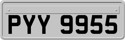 PYY9955