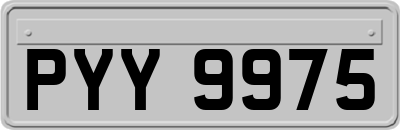 PYY9975