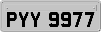 PYY9977