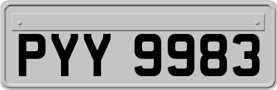 PYY9983
