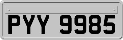 PYY9985