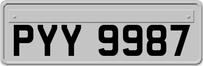 PYY9987