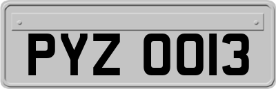 PYZ0013