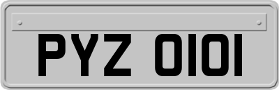 PYZ0101