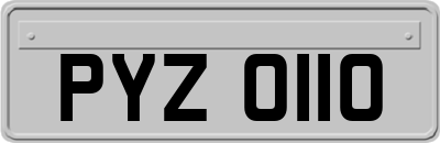PYZ0110