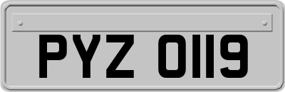 PYZ0119
