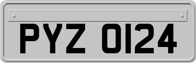 PYZ0124
