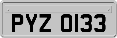 PYZ0133