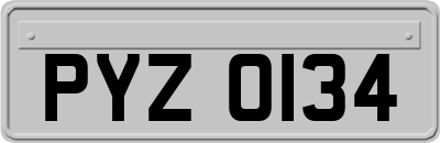 PYZ0134