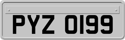 PYZ0199