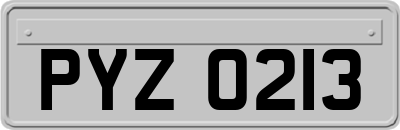 PYZ0213