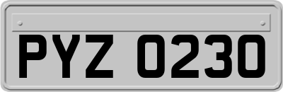 PYZ0230