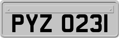 PYZ0231