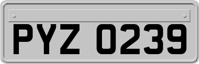 PYZ0239