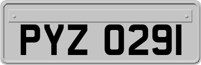 PYZ0291