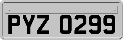 PYZ0299