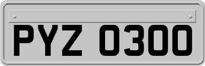 PYZ0300