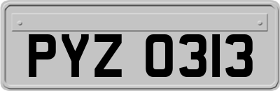 PYZ0313
